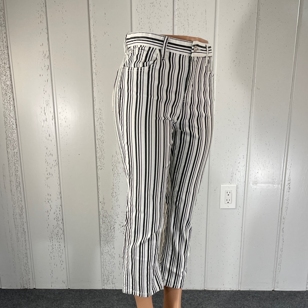 *BDG Urban Outfitters  Women's  Stripped Cropped High -Rise Pant Size 29